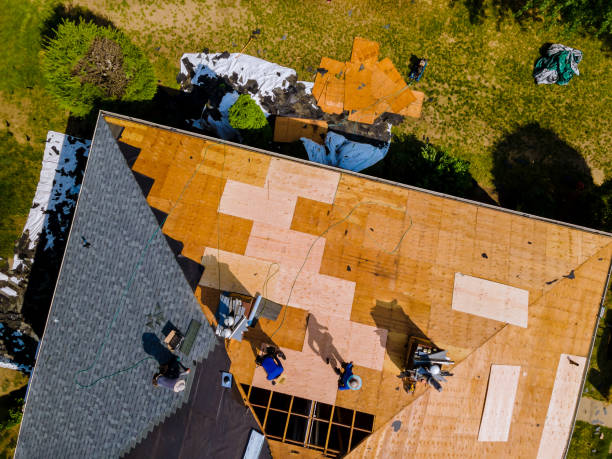 Best Roof Leak Repair  in Grant Park, IL