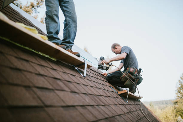 Best Metal Roofing Contractor  in Grant Park, IL