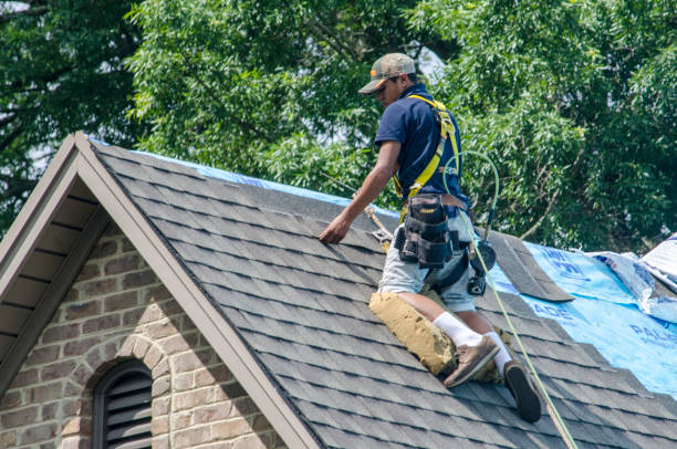 Best Roof Waterproofing Services  in Grant Park, IL