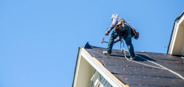 Roof Gutter Cleaning in Grant Park, IL